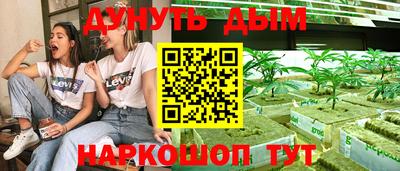 стаф Обь