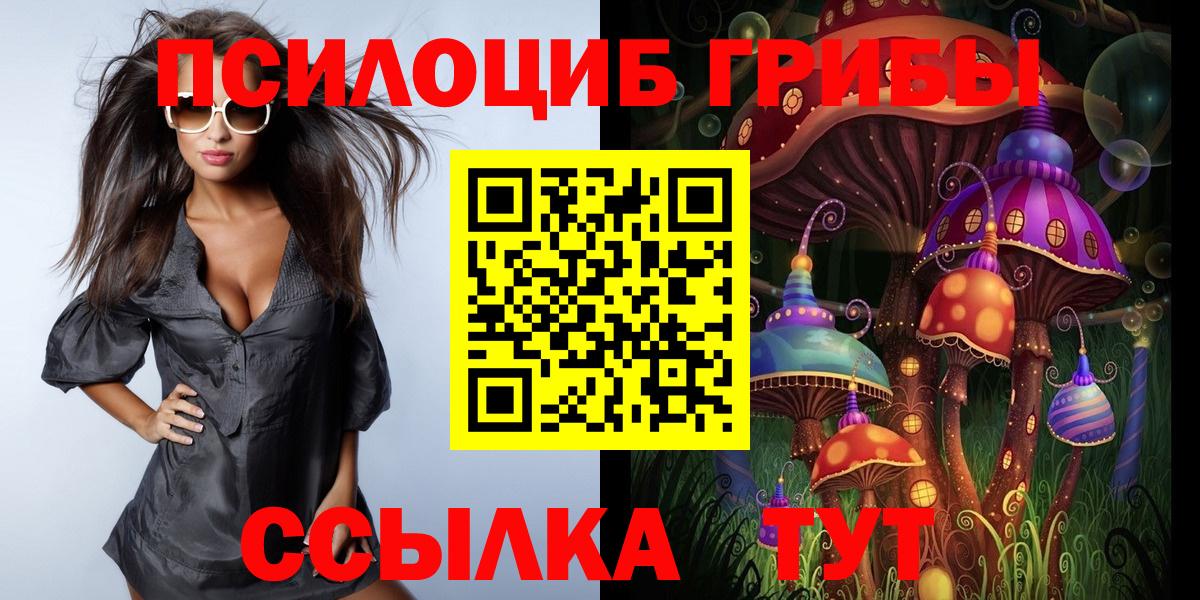 Серпухов  Псилоцибиновые грибы прущие грибы  Вход с VPN 